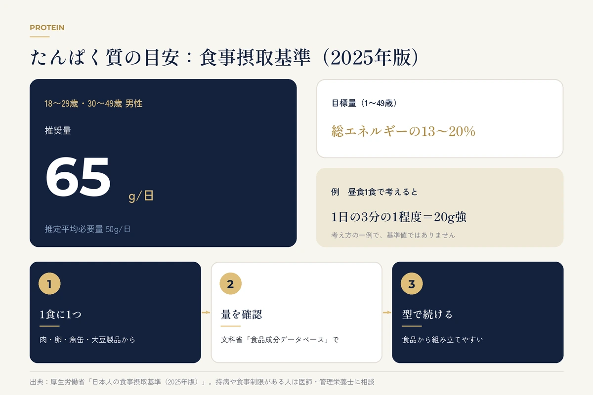 18〜49歳男性のたんぱく質推奨量65g/日と目標量、昼食1食の考え方の例を示した図